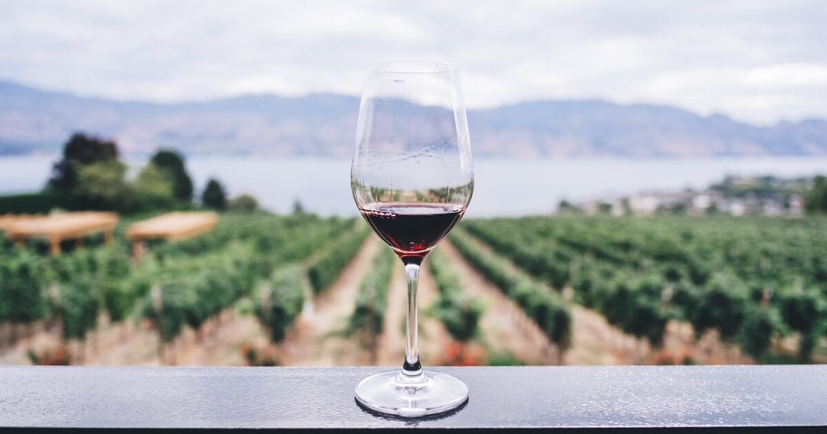 Sapam Bourgogne Partners with Dartess for Shared Wine Distribution
