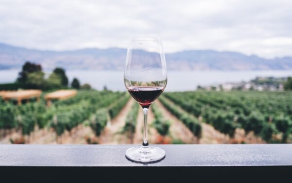 Sapam Bourgogne Partners with Dartess for Shared Wine Distribution